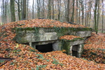 German bunker in the Argonne forest